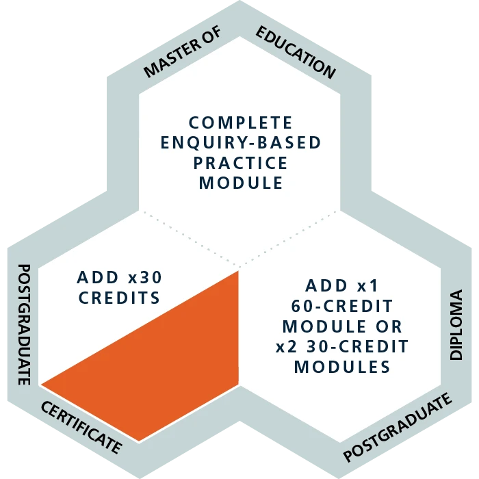 A diagram showing how this 30 credit module fits into our 180 credit masters programme