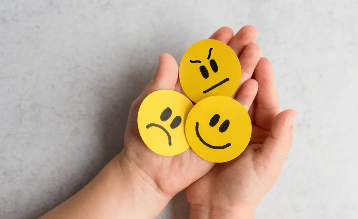 Developing Emotional Regulation Skills in Children with SEND: Lessons from Special Schools