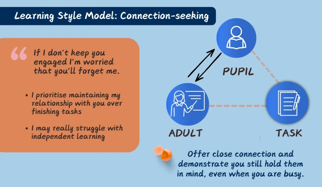Learning style model - connection seeking